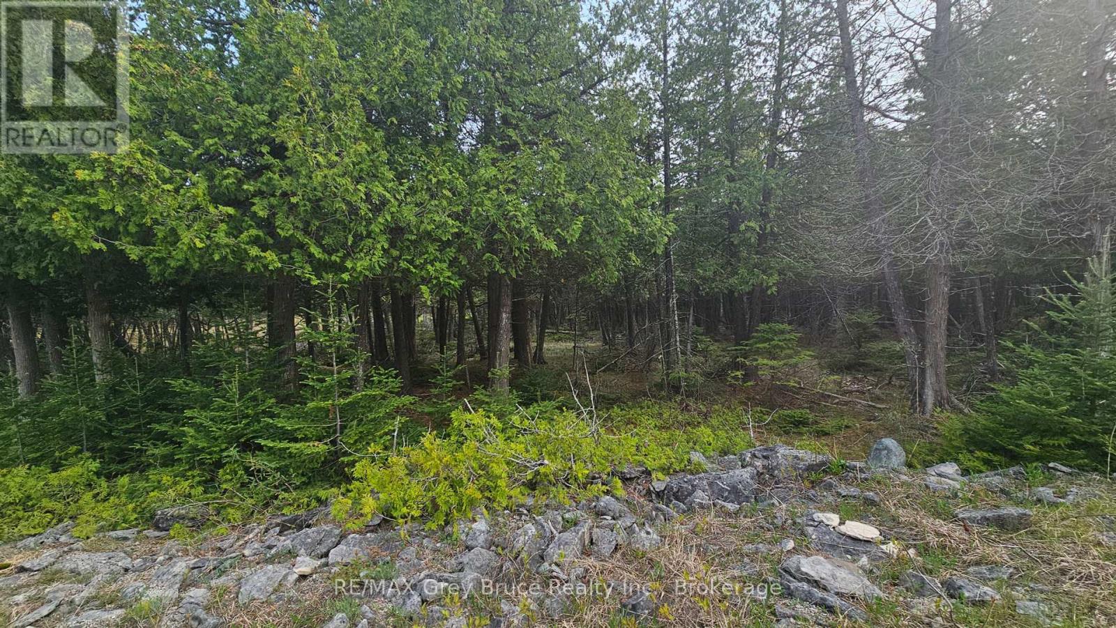 Lt 254 Dorcas Bay Road, Northern Bruce Peninsula, Ontario  N0H 2R0 - Photo 4 - X12129284