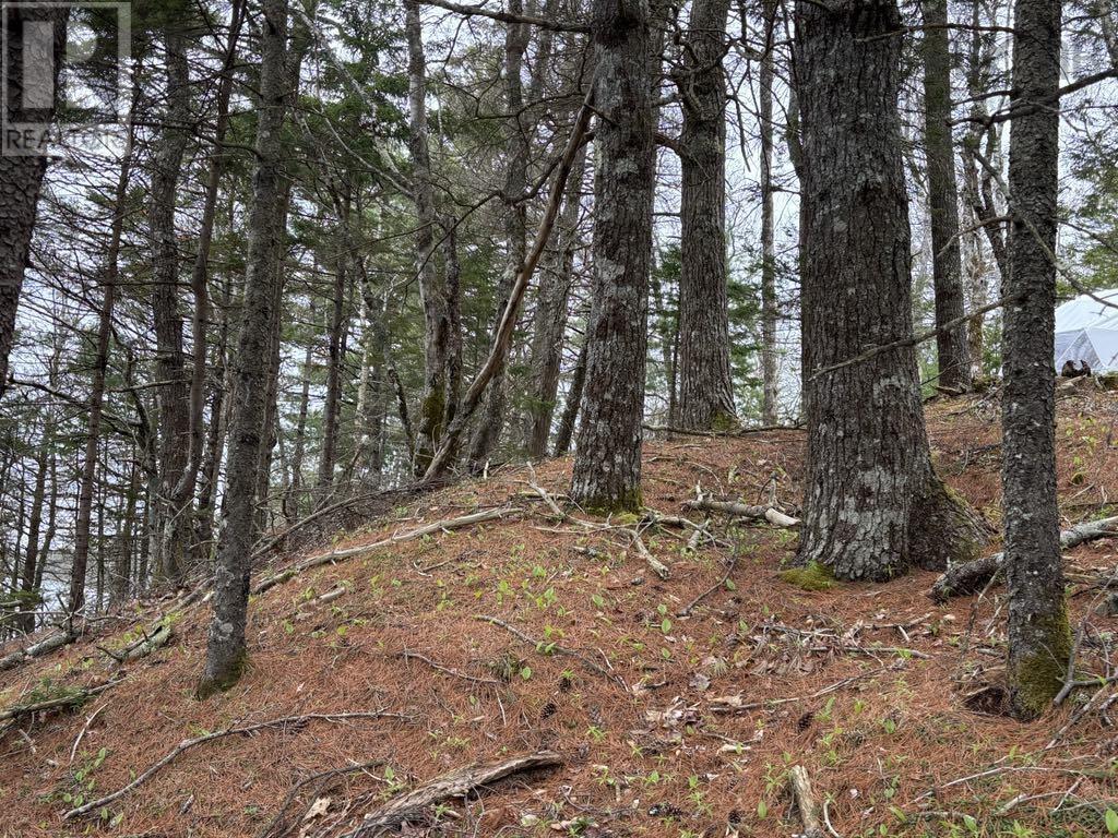 528 Canoe Lake Estates Road, Quinan, Nova Scotia  B0W 3M0 - Photo 20 - 202509907