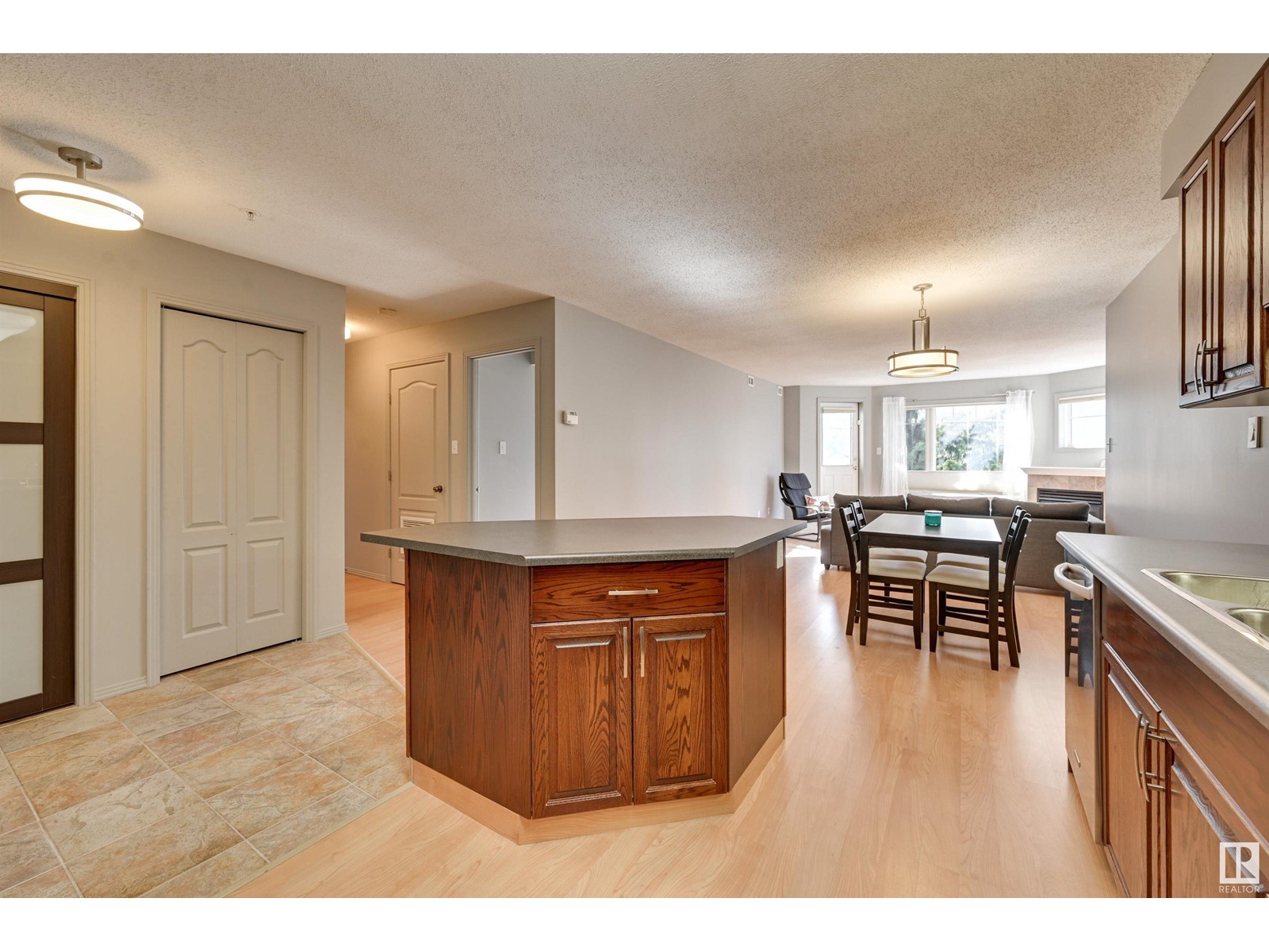 #305 8909 100 St Nw, Edmonton, Alberta  T6E 6T4 - Photo 14 - E4434851