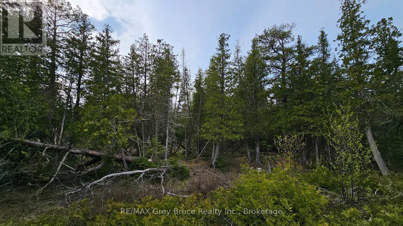 Lt 255 Pedwell Pt. Drive, Northern Bruce Peninsula, Ontario  N0H 2R0 - Photo 16 - X12129332