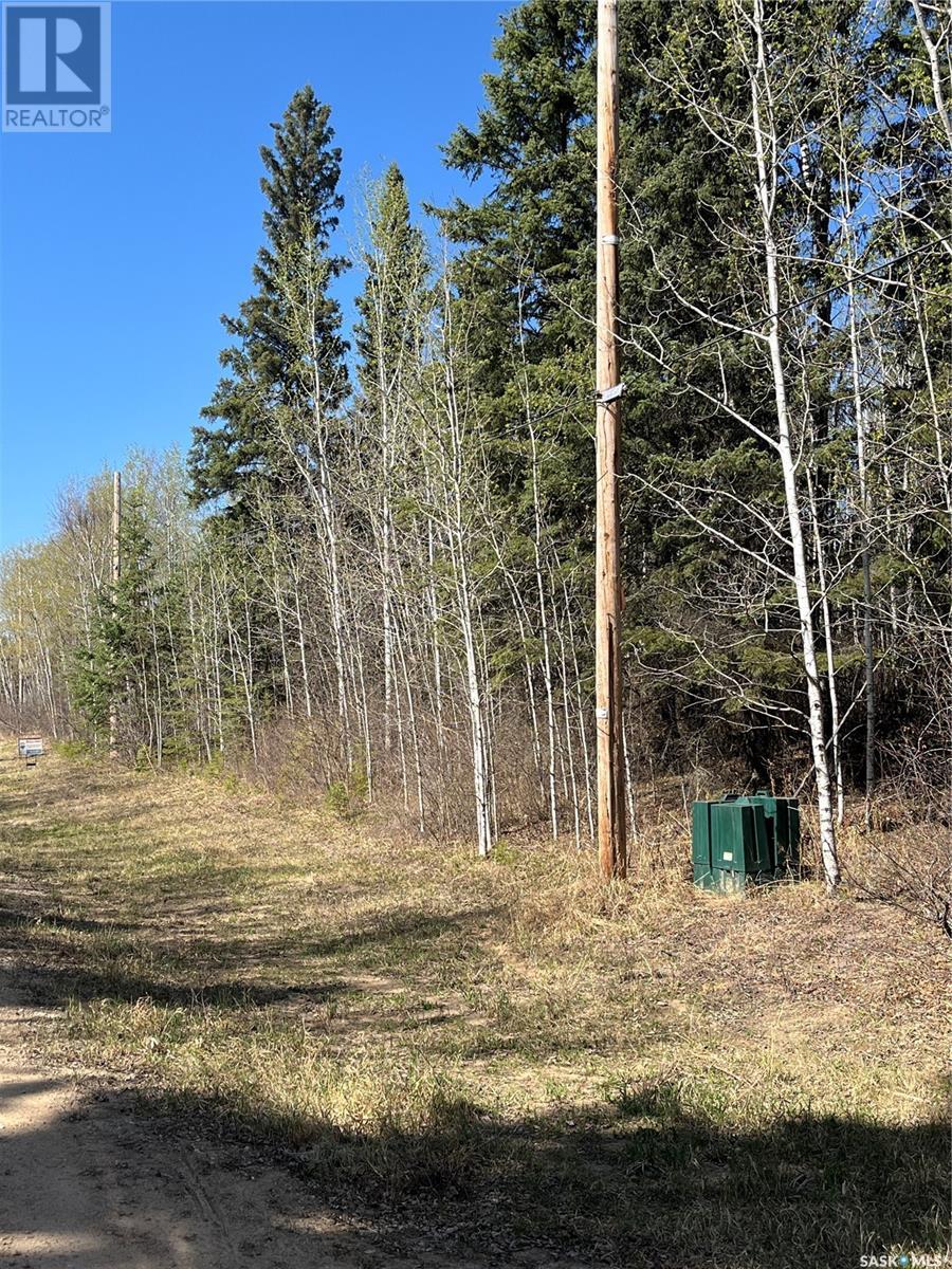 6 Buckingham TRAIL, big river rm no. 555, Saskatchewan
