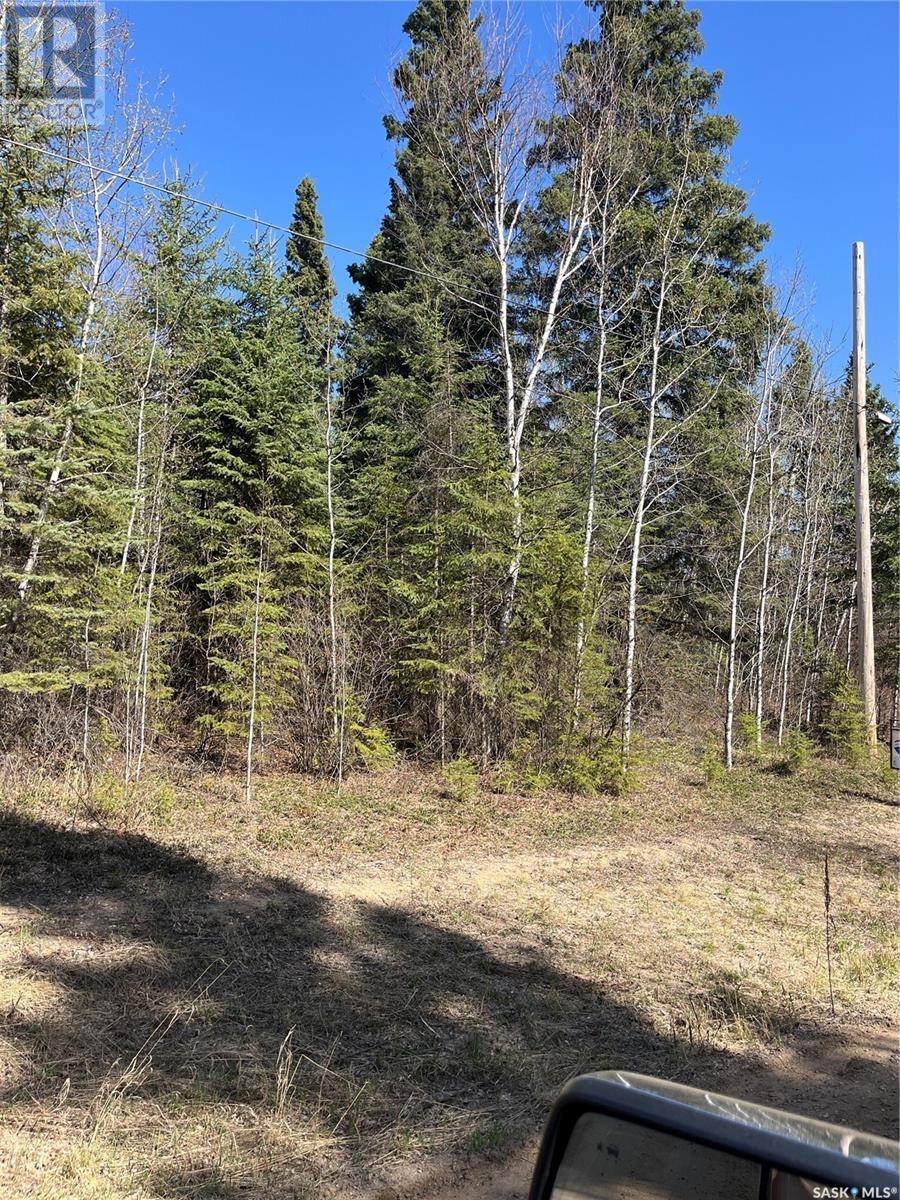 6 Buckingham Trail, Big River Rm No. 555, Saskatchewan  S0J 0E0 - Photo 2 - SK004912