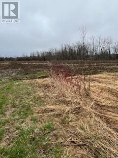 N/a Highway 48, Georgina, Ontario  L0E 1N0 - Photo 6 - N11969065