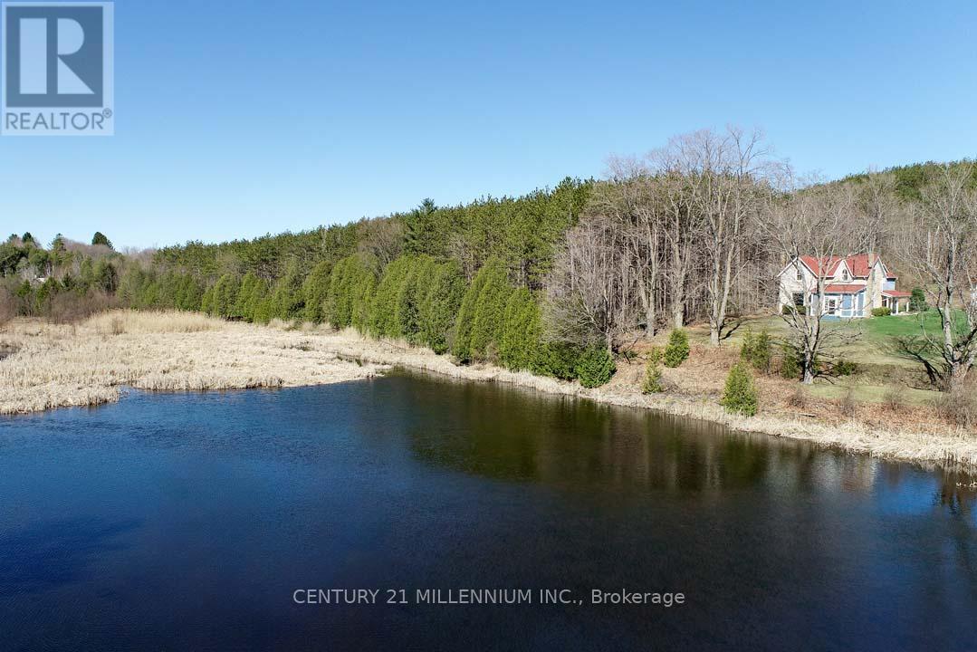 1380 Queen Street W, Caledon, Ontario  L7K 0C3 - Photo 4 - W12129422