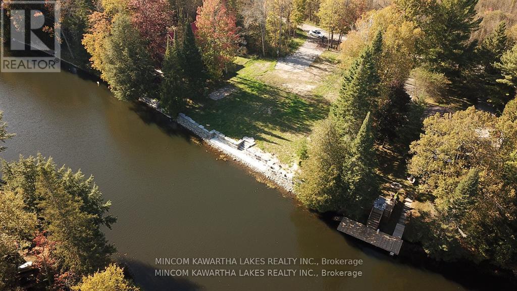 165 Cedarplank Road, Kawartha Lakes, Ontario  K0M 1N0 - Photo 11 - X12129490