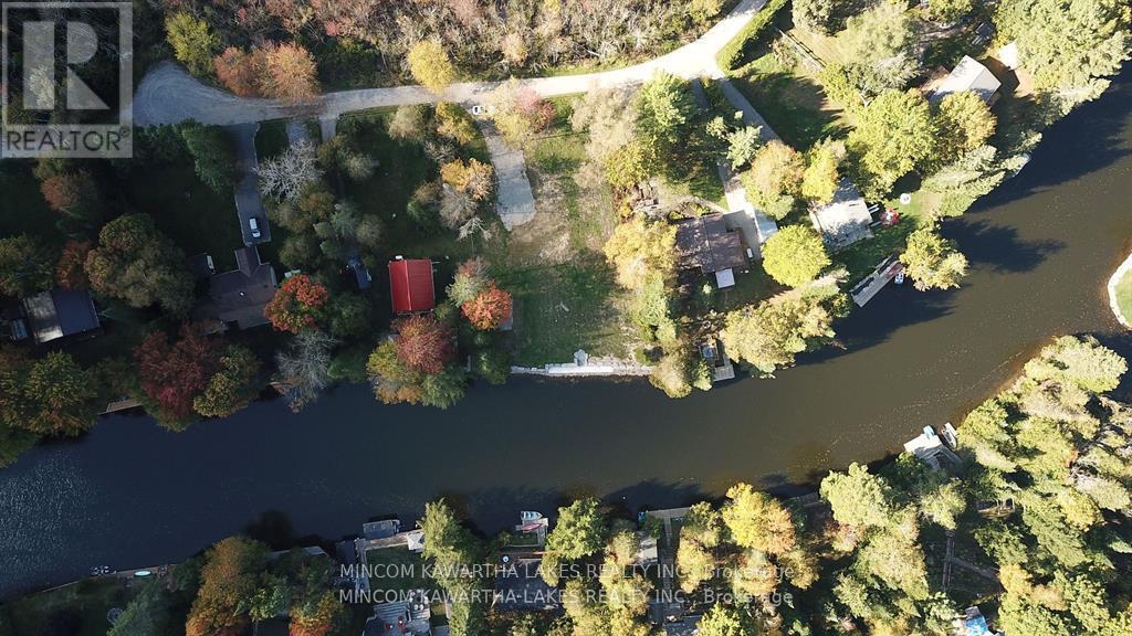 165 Cedarplank Road, Kawartha Lakes, Ontario  K0M 1N0 - Photo 12 - X12129490