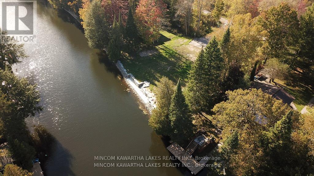 165 Cedarplank Road, Kawartha Lakes, Ontario  K0M 1N0 - Photo 16 - X12129490