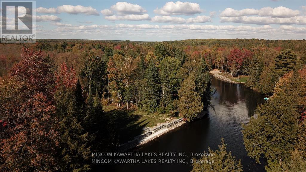 165 Cedarplank Road, Kawartha Lakes, Ontario  K0M 1N0 - Photo 19 - X12129490