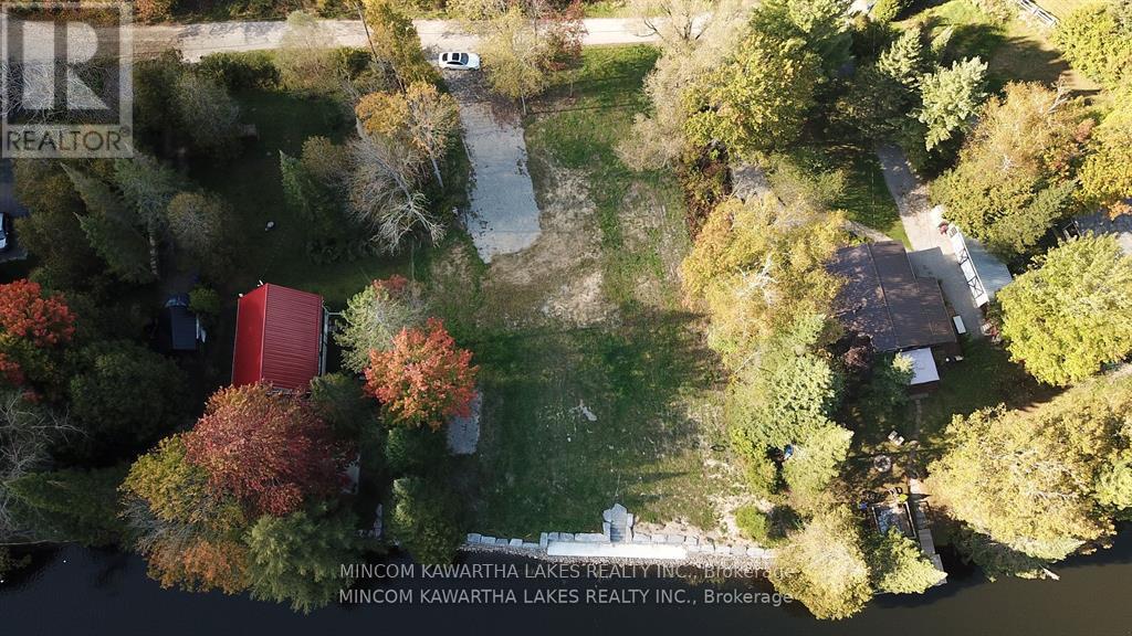 165 Cedarplank Road, Kawartha Lakes, Ontario  K0M 1N0 - Photo 20 - X12129490