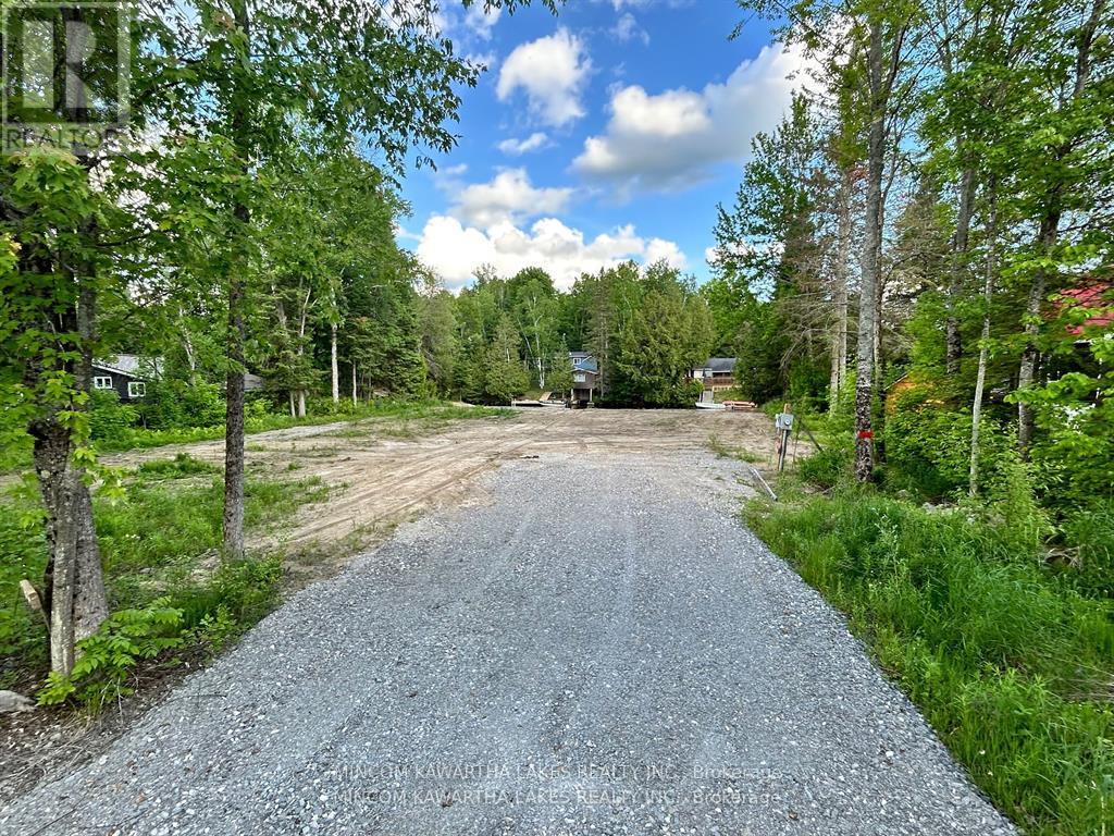 165 Cedarplank Road, Kawartha Lakes, Ontario  K0M 1N0 - Photo 4 - X12129490
