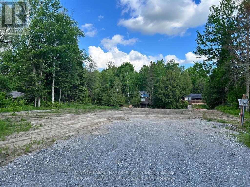 165 Cedarplank Road, Kawartha Lakes, Ontario  K0M 1N0 - Photo 8 - X12129490