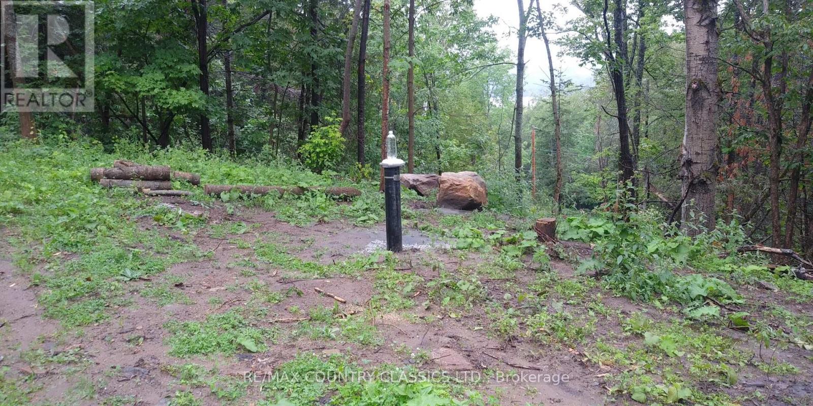 47 Arbor Vitae Road E, Madawaska Valley, Ontario  K0J 1B0 - Photo 3 - X12129543