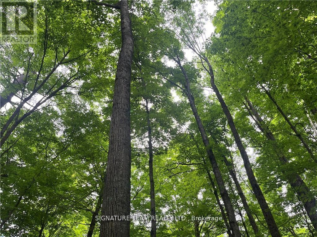 LOT 2 POINT ROAD, McNab/Braeside, Ontario