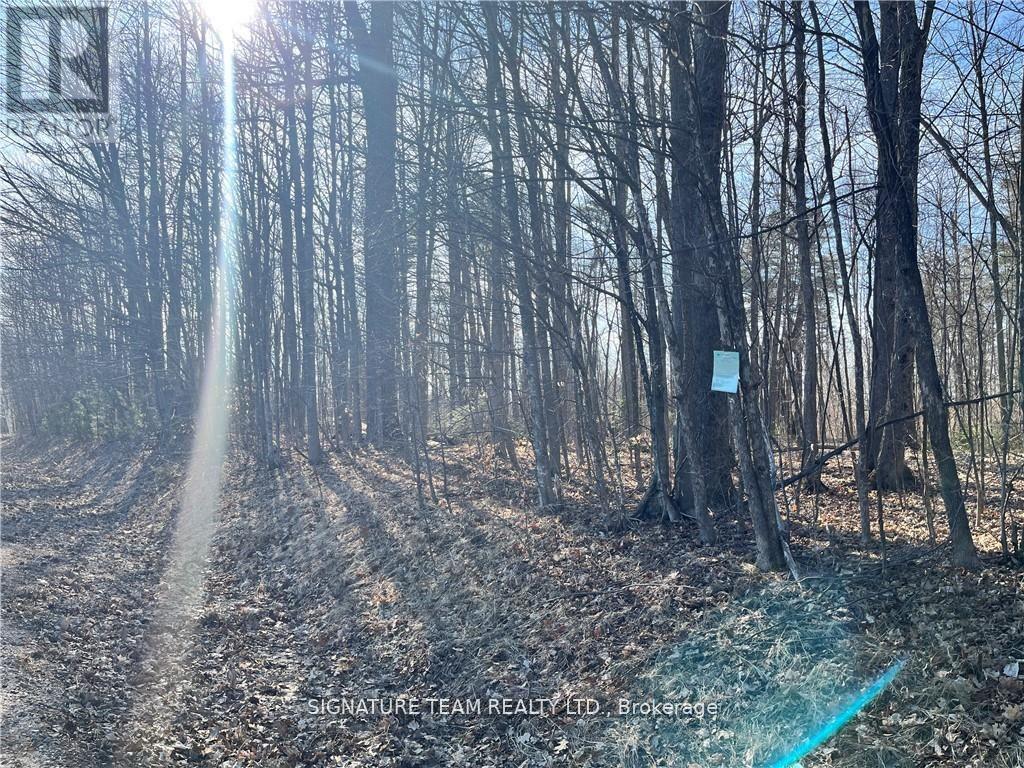 Lot 2 Point Road, Mcnab/braeside, Ontario  K0A 3L0 - Photo 10 - X12129583