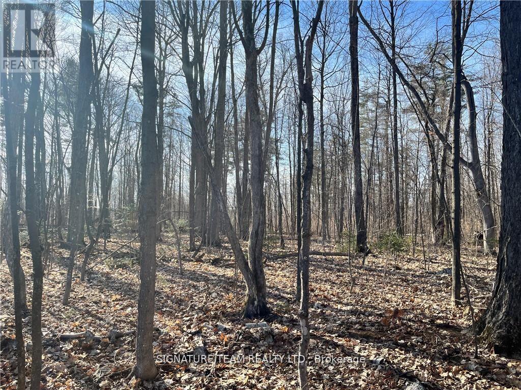Lot 2 Point Road, Mcnab/braeside, Ontario  K0A 3L0 - Photo 11 - X12129583