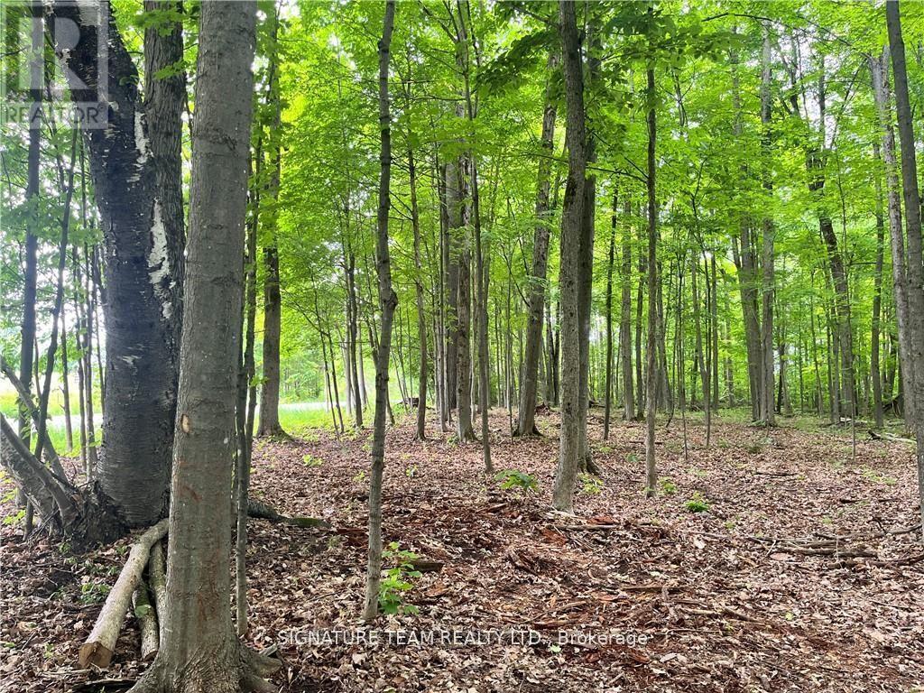 Lot 2 Point Road, Mcnab/braeside, Ontario  K0A 3L0 - Photo 2 - X12129583