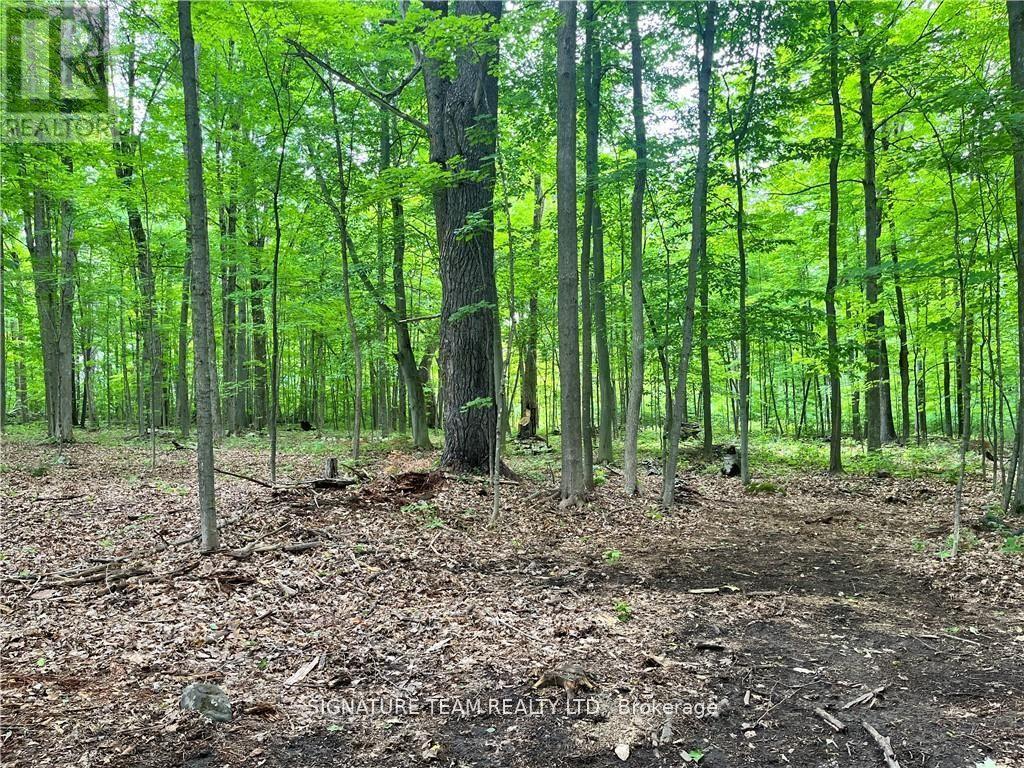 Lot 2 Point Road, Mcnab/braeside, Ontario  K0A 3L0 - Photo 3 - X12129583