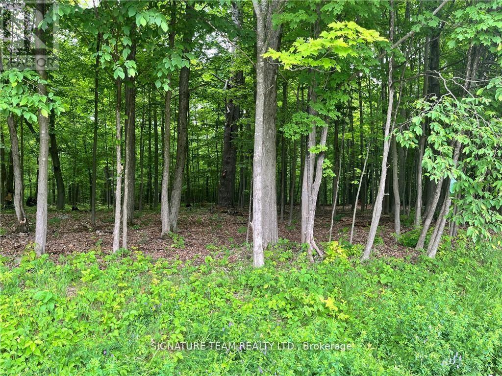 Lot 2 Point Road, Mcnab/braeside, Ontario  K0A 3L0 - Photo 4 - X12129583