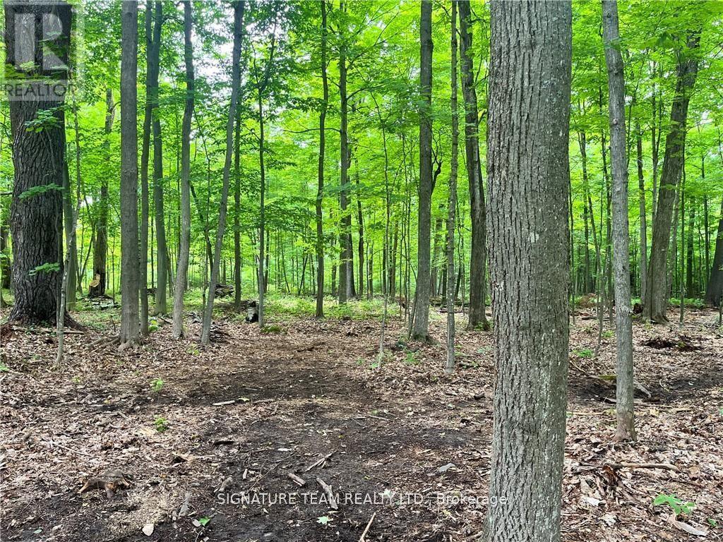 Lot 2 Point Road, Mcnab/braeside, Ontario  K0A 3L0 - Photo 5 - X12129583