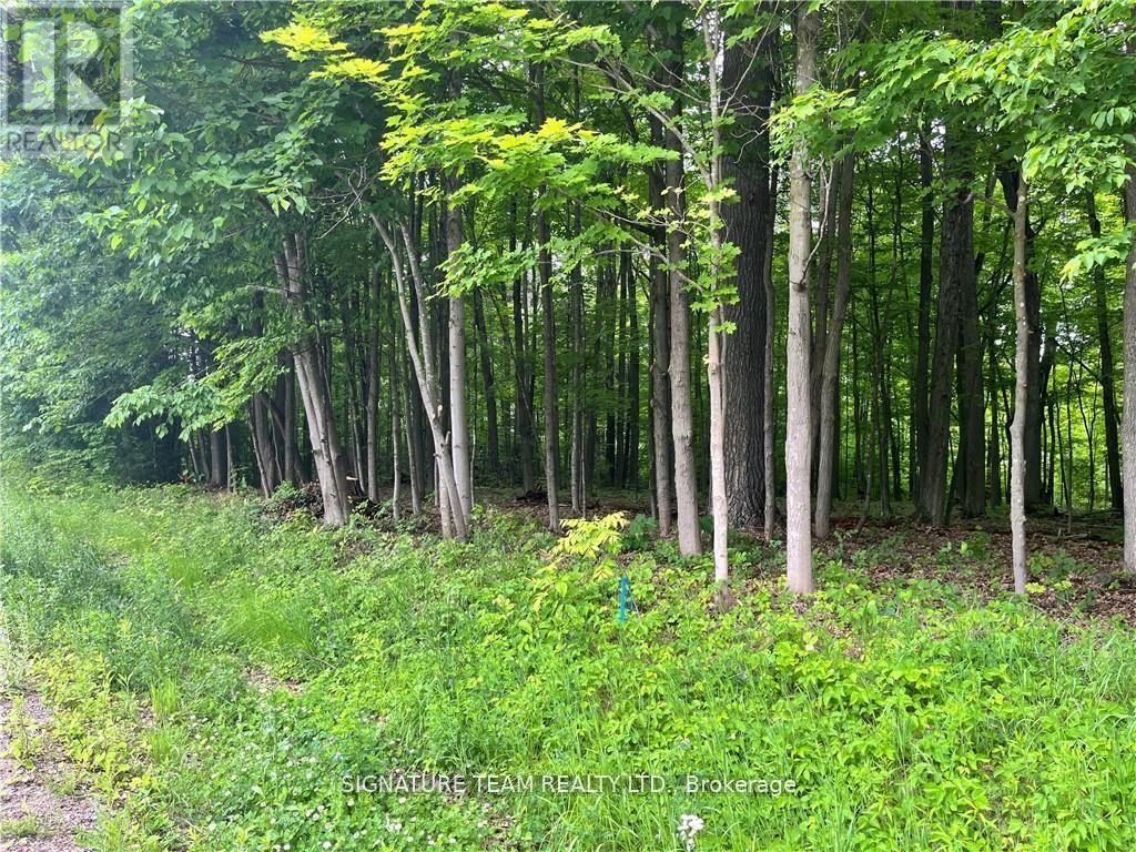 Lot 2 Point Road, Mcnab/braeside, Ontario  K0A 3L0 - Photo 6 - X12129583