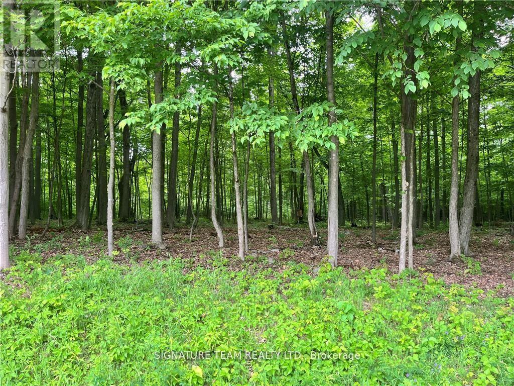 Lot 2 Point Road, Mcnab/braeside, Ontario  K0A 3L0 - Photo 7 - X12129583