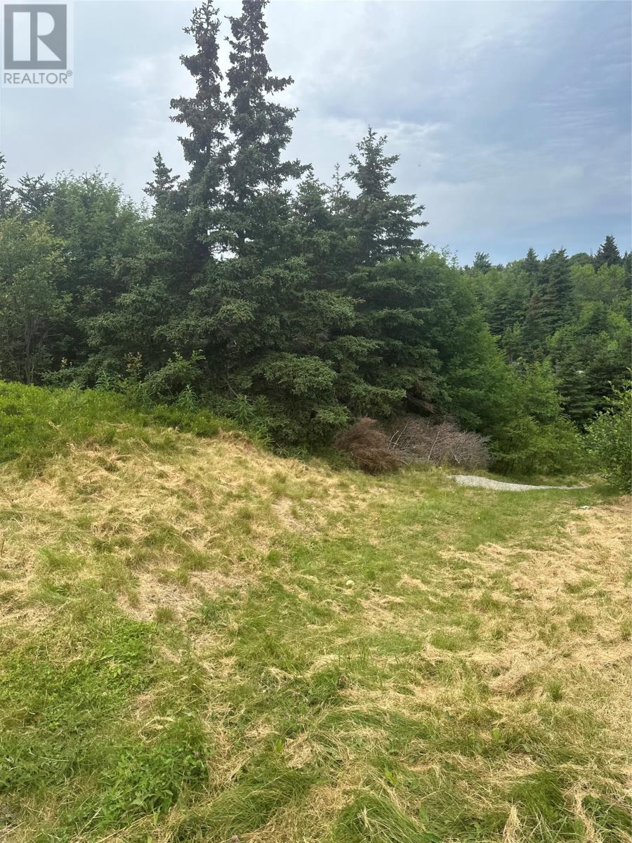 27 Strugnells Marsh Road, Pouch Cove, Newfoundland & Labrador  A0A 3L0 - Photo 3 - 1284584