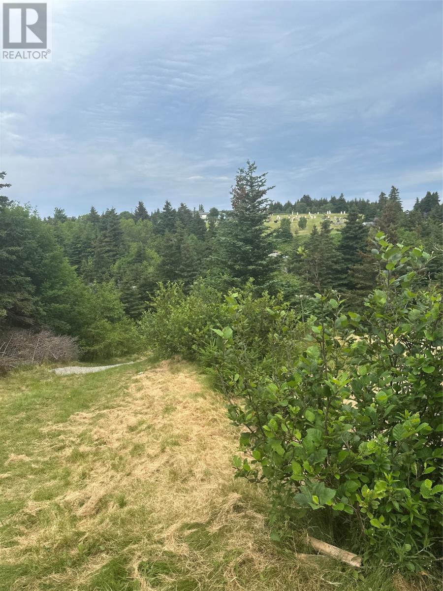 27 Strugnells Marsh Road, Pouch Cove, Newfoundland & Labrador  A0A 3L0 - Photo 6 - 1284584
