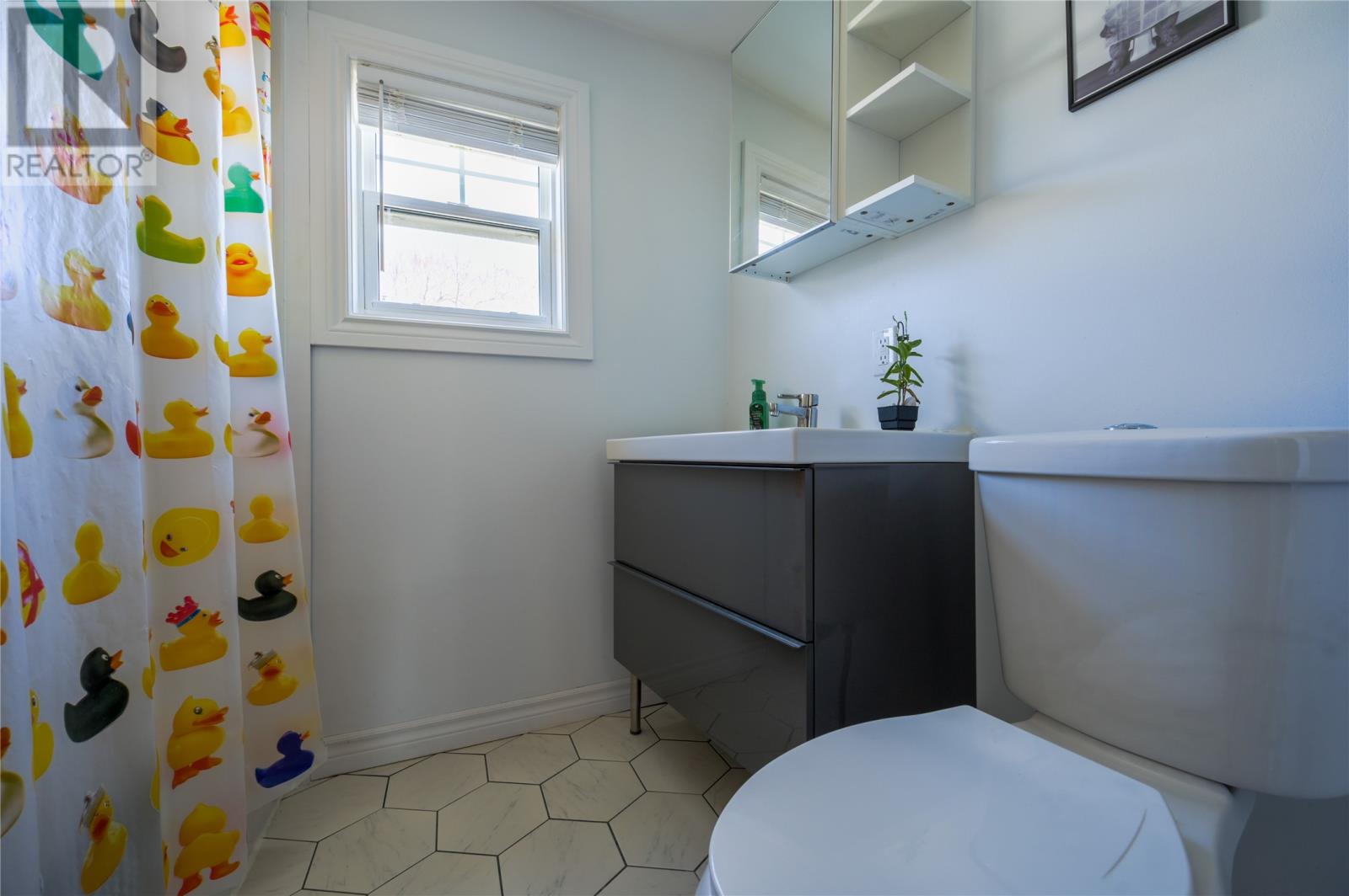 101 St. Clare Avenue, St. John's, Newfoundland & Labrador  A1C 2J9 - Photo 11 - 1284700