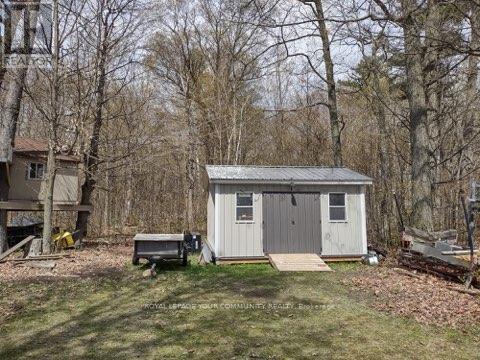 Lot 50 Fox Island S, Georgina Islands, Ontario  L4P 3E9 - Photo 25 - N12122234