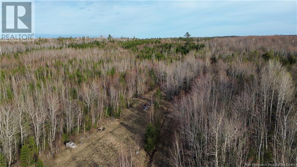 Property at NA des Acadiens Boulevard image 1