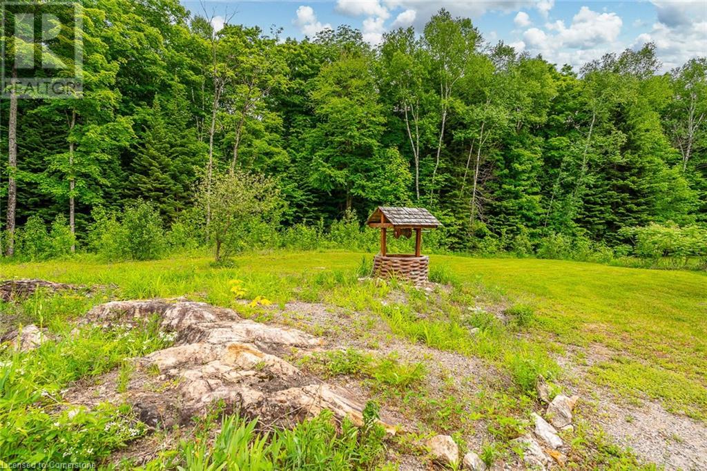 17182 Highway 118, Haliburton, Ontario  K0M 1S0 - Photo 47 - 40725561