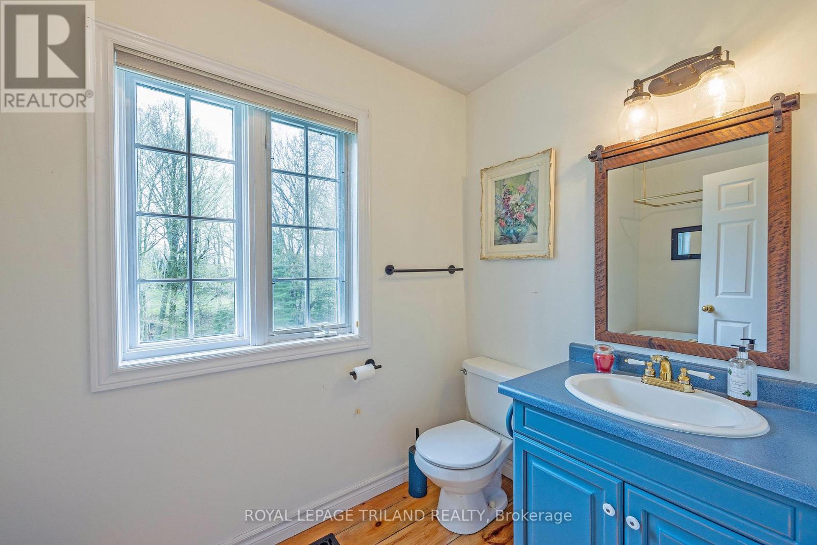 37412 Lake Line, Southwold, Ontario  N5L 1J1 - Photo 29 - X12129732
