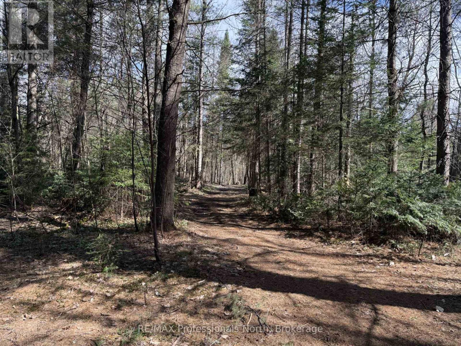 649 Yearley Road, Huntsville (Stisted), Ontario  P0B 1M0 - Photo 45 - X12128560