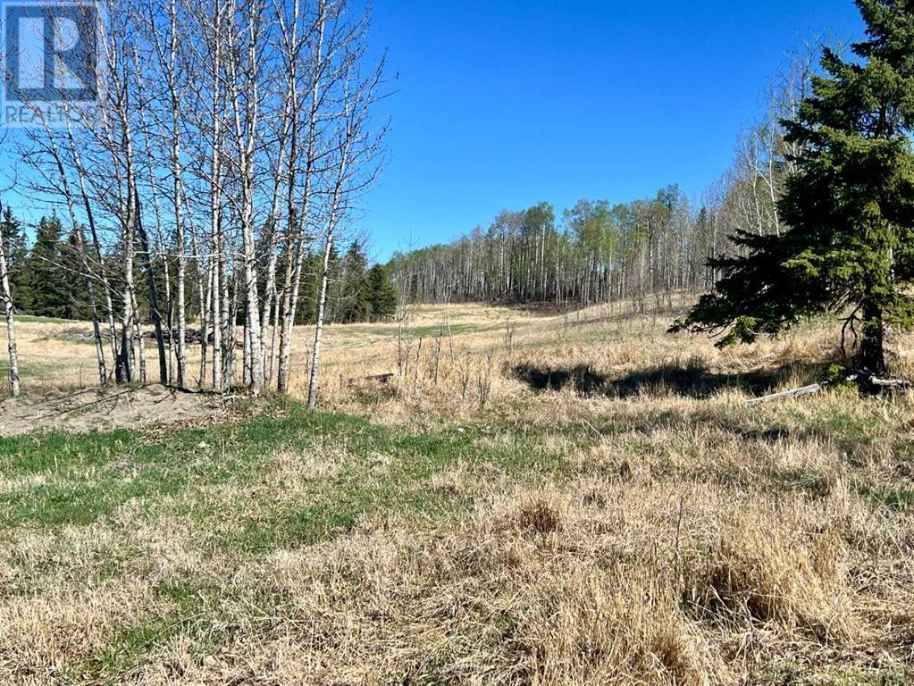 404049 Highway 761, Rural Clearwater County, Alberta  T0M 1H0 - Photo 41 - A2202000