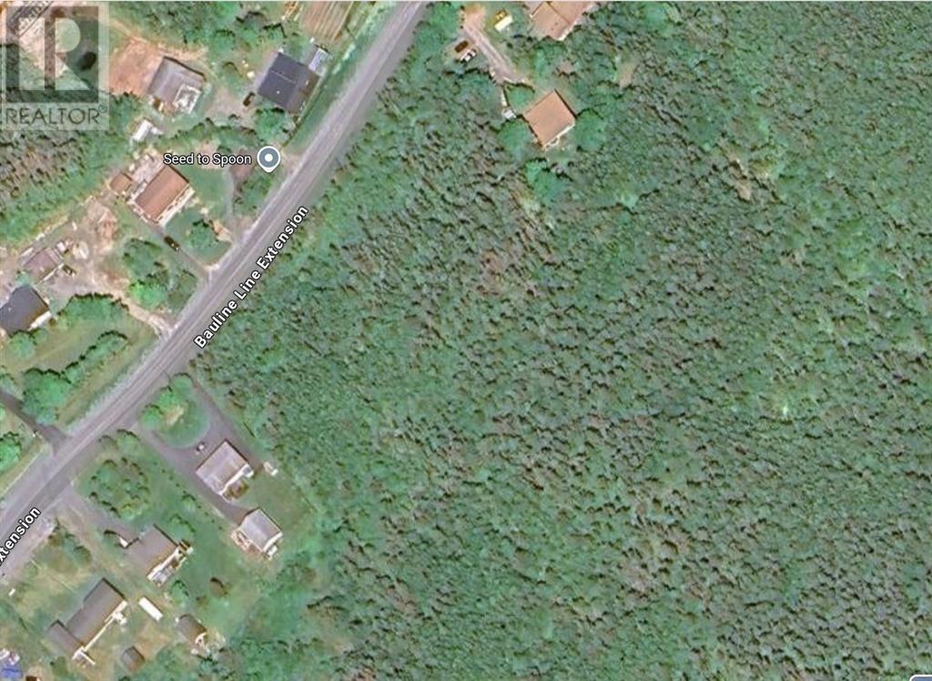 Property at 134 Bauline Line Extension image 4