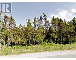 134 Bauline Line Extension, Portugal Cove-St. Philip's, Newfoundland & Labrador