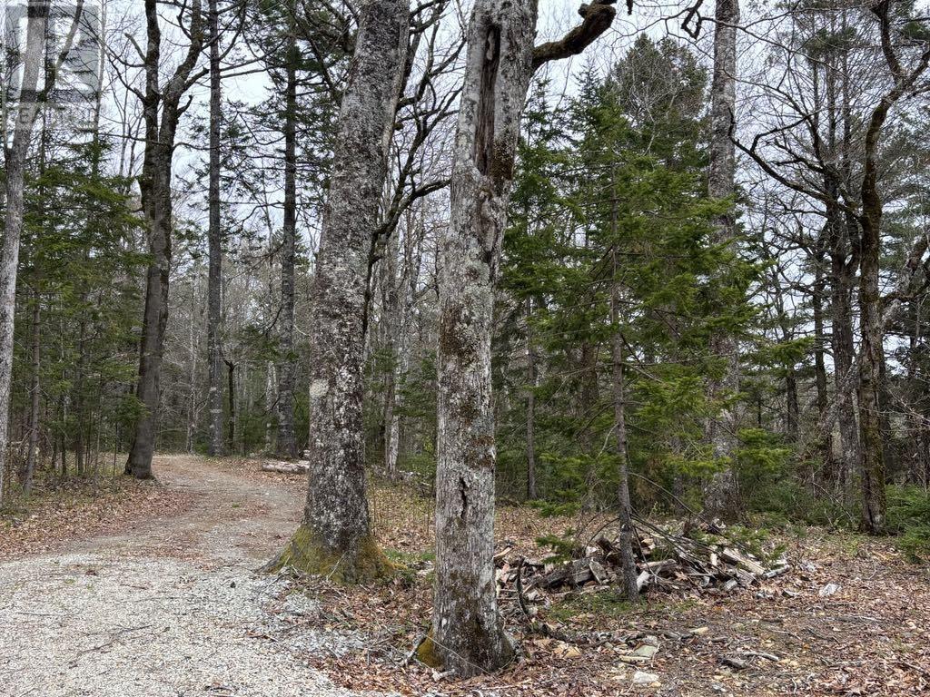 528 Canoe Lake Estates Road, Quinan, Nova Scotia  B0W 3M0 - Photo 3 - 202509907