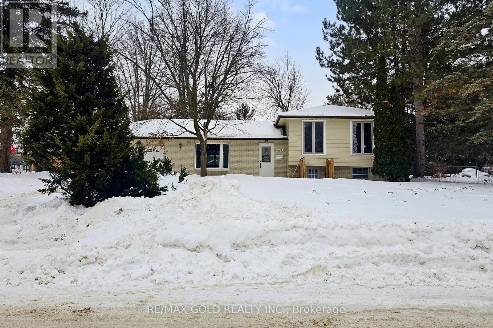 Property at 205 CHERRY COURT image 4