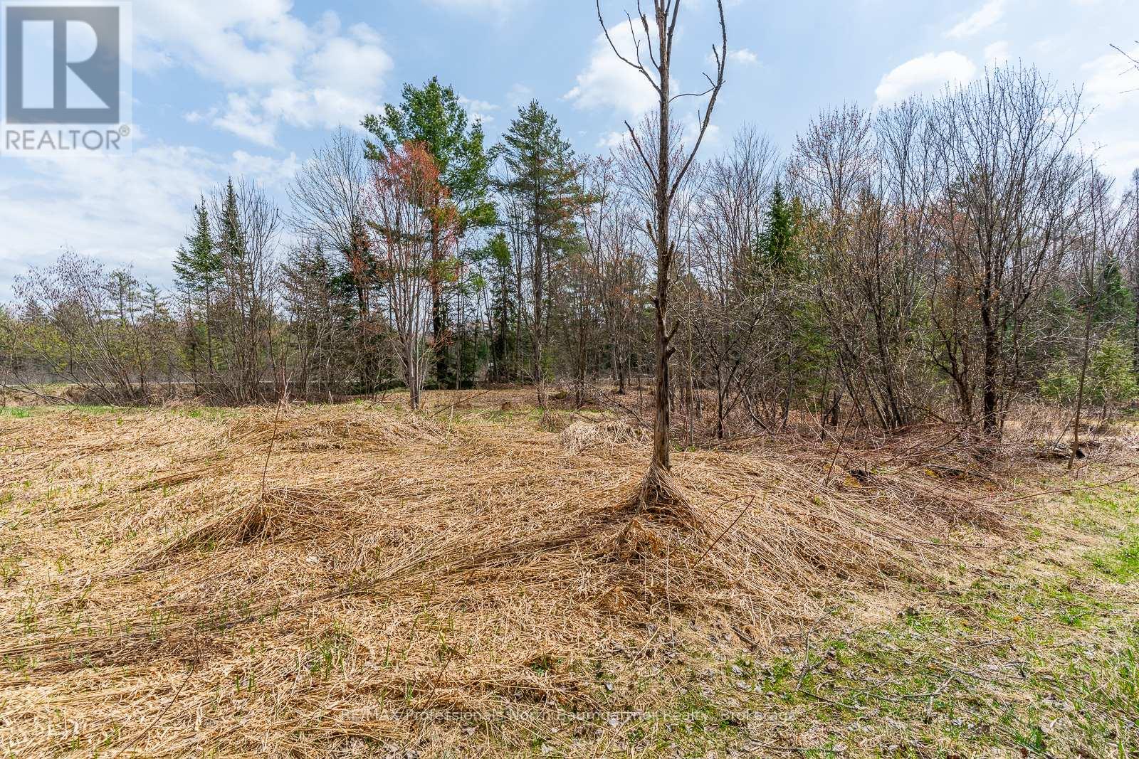 1899 Bobcaygeon Road, Minden Hills, Ontario  K0M 2K0 - Photo 8 - X12130090
