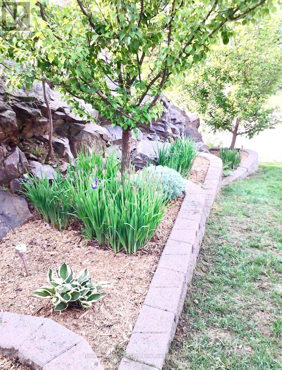 Property at 37 SHALLOT CRESCENT N image 5