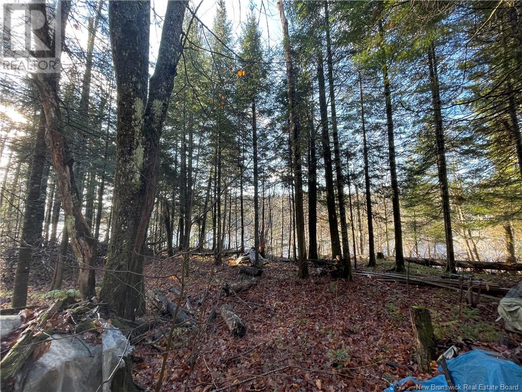 Undine Road, Dsl De Drummond/dsl Of Drummond, New Brunswick  E3Y 2E8 - Photo 13 - NB108415