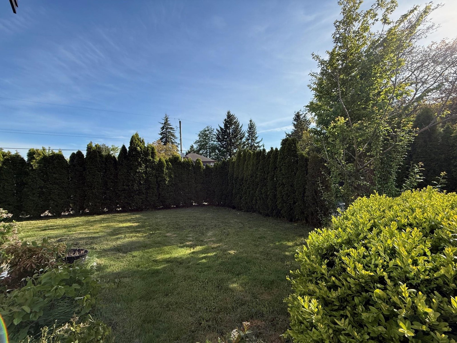 8018 155a Street, Surrey, British Columbia  V3S 2J2 - Photo 7 - R2997978
