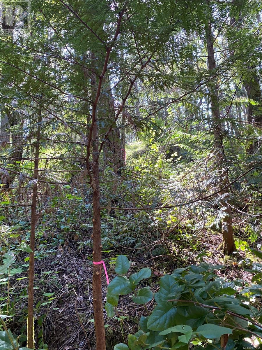 Lot 36 Ruxton Island, Ruxton Island, British Columbia V0V 0V0 - Photo 8 - 997865