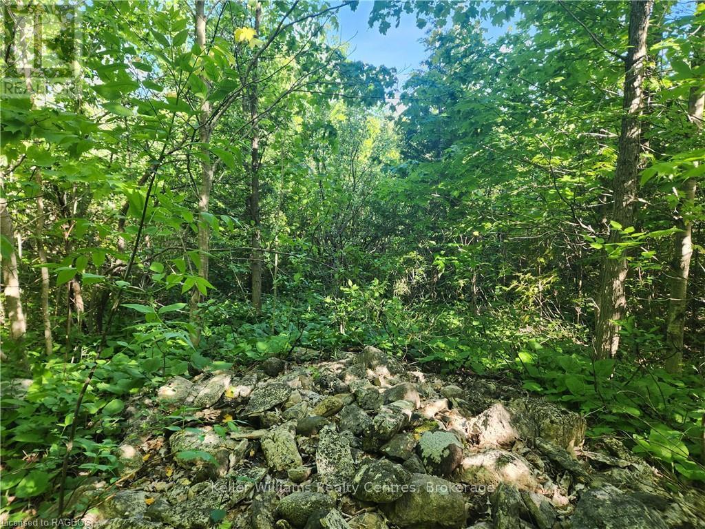 Lt Pt 40 Con 8 Bartley Drive, Northern Bruce Peninsula, Ontario  N0H 1Z0 - Photo 11 - X12130147