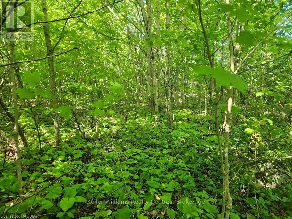 Lt Pt 40 Con 8 Bartley Drive, Northern Bruce Peninsula, Ontario  N0H 1Z0 - Photo 12 - X12130147