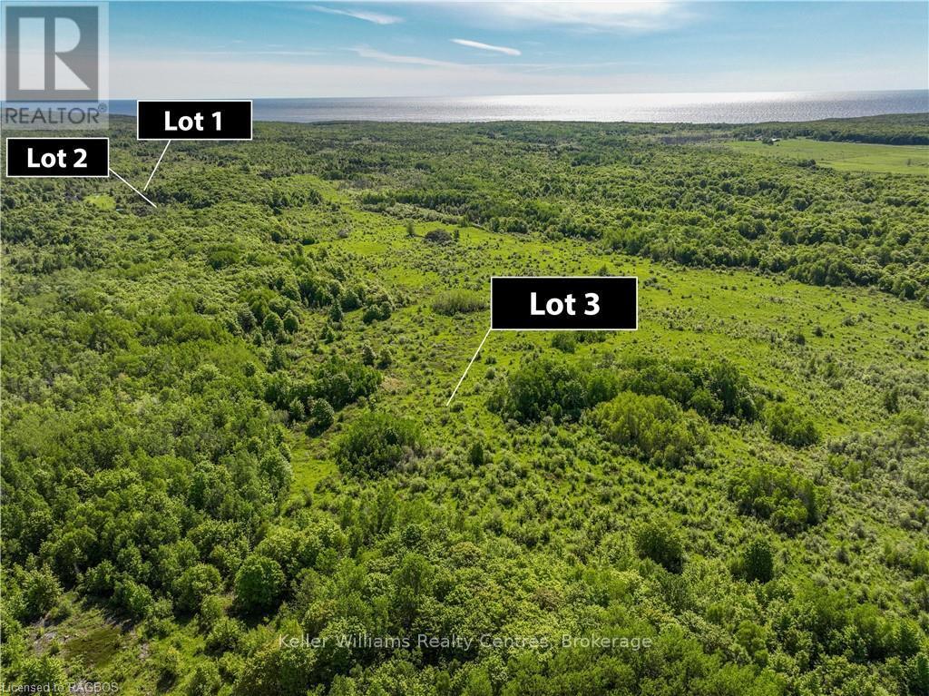 Lt Pt 40 Con 8 Bartley Drive, Northern Bruce Peninsula, Ontario  N0H 1Z0 - Photo 4 - X12130147