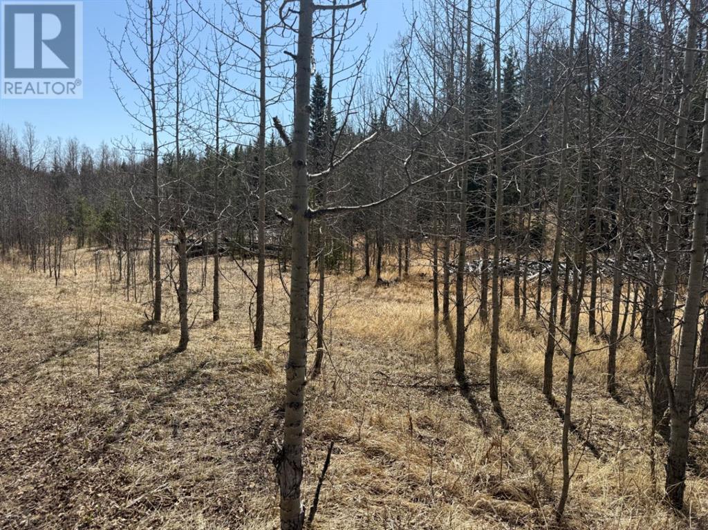 N 1/2-Nw-20-27-5-W5th Beaupre Creek Road, Rural Rocky View County, Alberta  T4C 2W1 - Photo 20 - A2218061