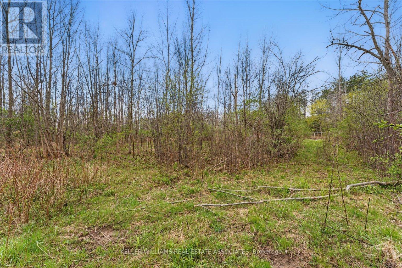 10475a Winston Churchill Boulevard, Brampton (Northwest Brampton), Ontario  L7A 0A4 - Photo 8 - W12130355