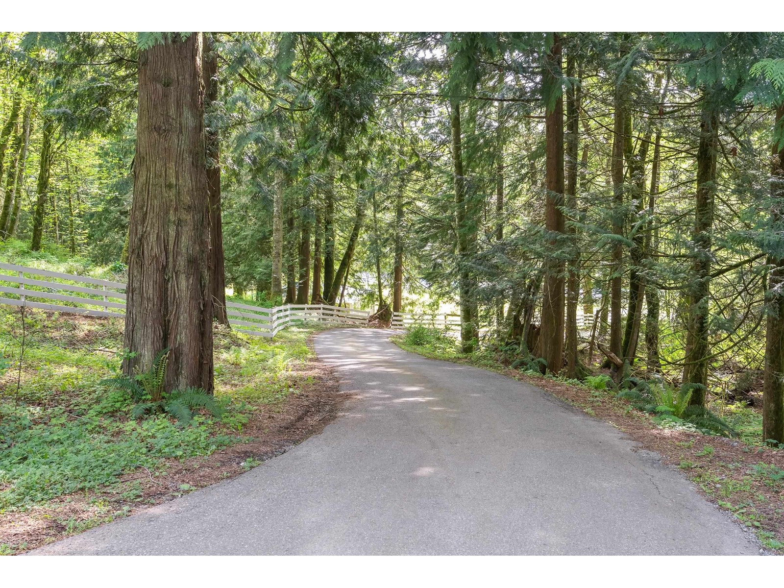 4694 Udy Road, Abbotsford, British Columbia  V3L 3A3 - Photo 6 - R2999141