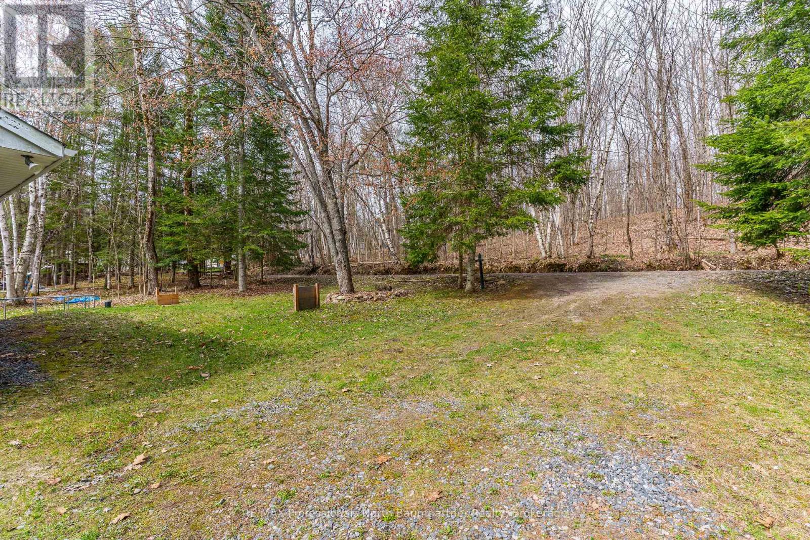 1175 Twin Rocks Lane, Algonquin Highlands, Ontario  K0M 1J1 - Photo 4 - X12130572